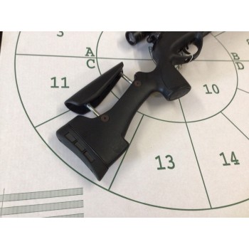 Gamo Vernari Tactical Package .22